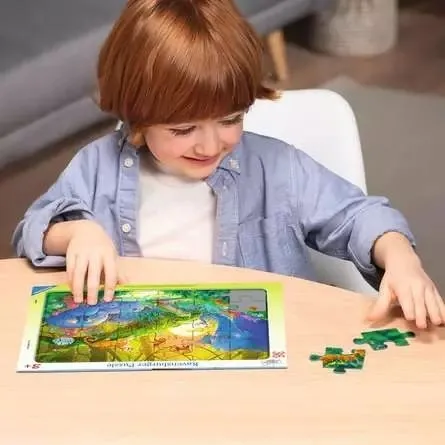 Coucher De Soleil Dans La Jungle