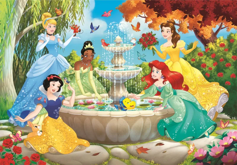 Disney Princesses