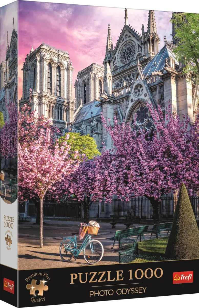 Photo Odyssée : Cathédrale Notre-Dame De Paris