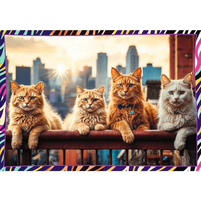 4 Puzzles - Animaux Drôles