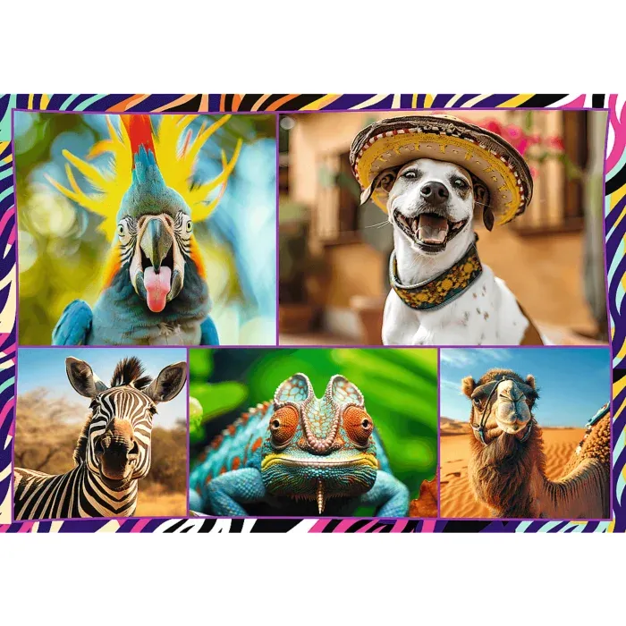 4 Puzzles - Animaux Drôles
