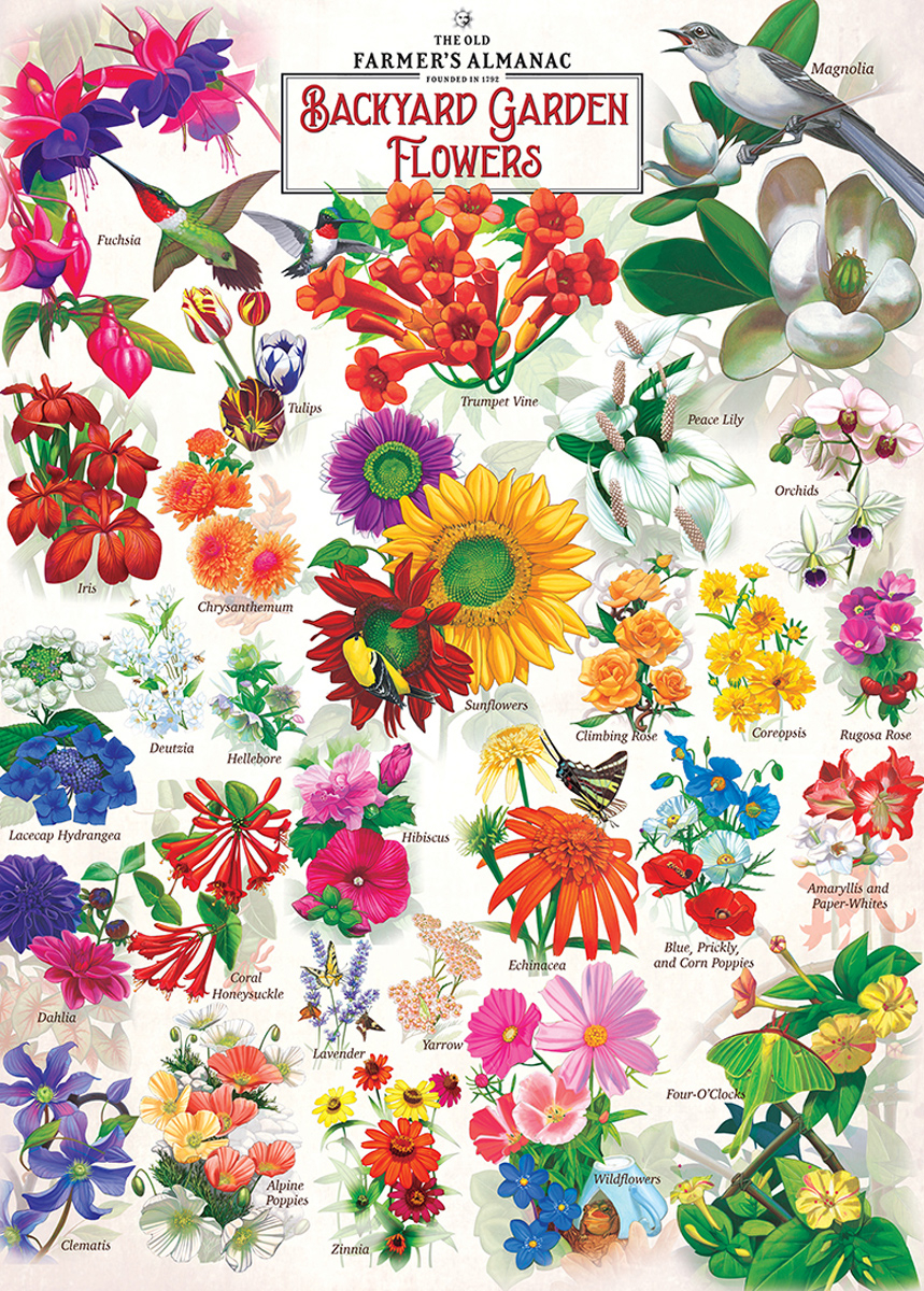 Fleurs du Jardin