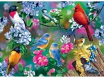 Songbird Collage