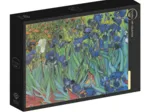 Vincent Van Gogh - Saint-Remy - Les Iris, 1889