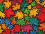 Feuilles Colorées
