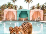 Baignade royale - Paul Fuentes Design