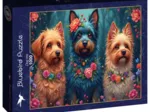 Trio Canin