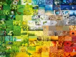 Wonderful Colours