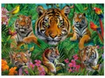 Jungle Des Tigres