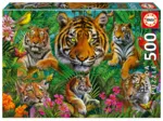 Jungle Des Tigres