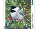 Pièces XXL - Black-capped Chickadee