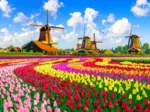 Moulins à Vent Hollandais, Pays-Bas