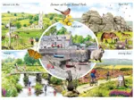 Dartmoor & Exmoor (1000)