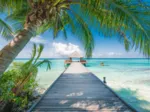 Plage de rêve aux Maldives
