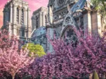 Photo Odyssée : Cathédrale Notre-Dame De Paris
