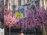 Photo Odyssée : Cathédrale Notre-Dame De Paris