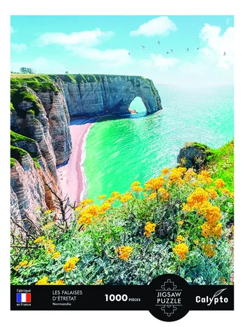 Produit Paysage - Les Falaises D'Etretat - Normandie Image