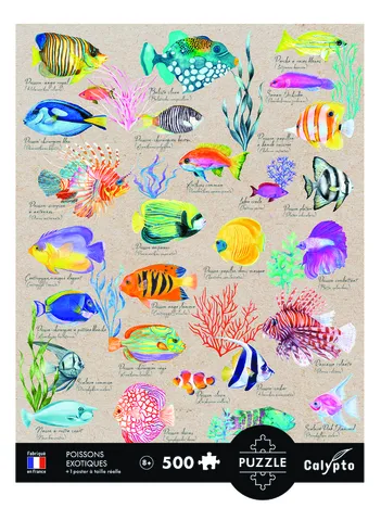 Produit Poissons Exotiques Image