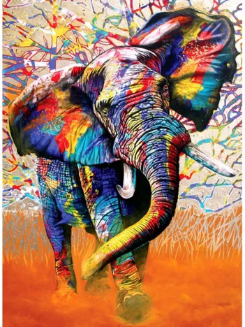 Produit African Colours Image