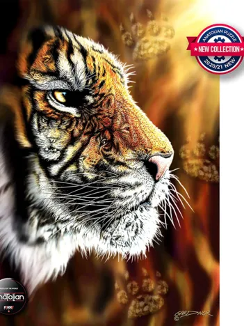 Produit Wild Tiger Image