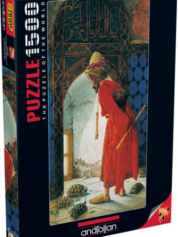 Produit Turtle Trainer Image