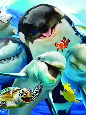 Produit Ocean Selfie Image