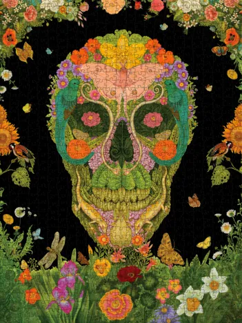 Produit Tino Rodriguez and Virgo Paraiso - Spring Eternal Image