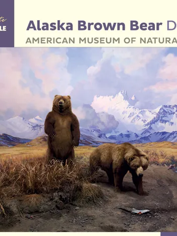 Produit Alaska Brown Bear Diorama - American Museum of Natural History Image