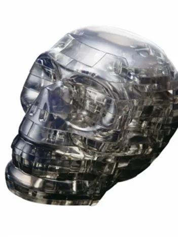 Produit Puzzle 3D en Plexiglas - Crâne noir Image