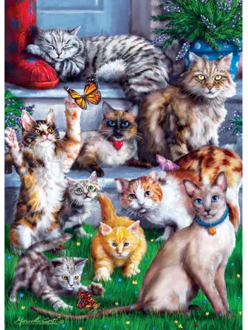 Produit Butterfly Chasers Image