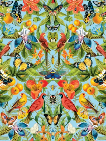 Produit Oranges Image