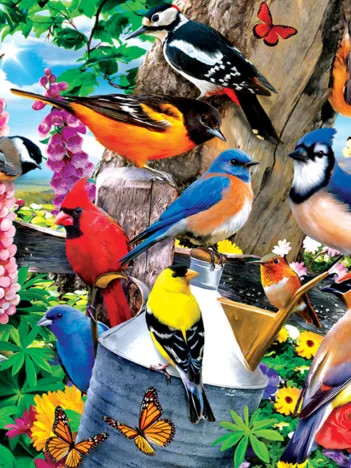 Produit Audubon - Rassemblement Printanier Image