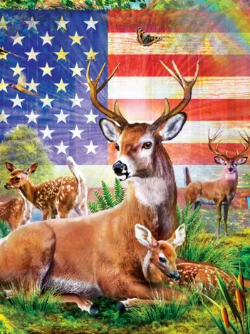 Produit Radiant Country Image