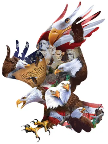 Produit Vol Majestueux Image