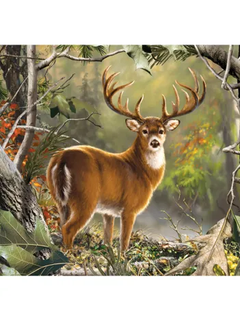 Produit Backcountry Buck Image