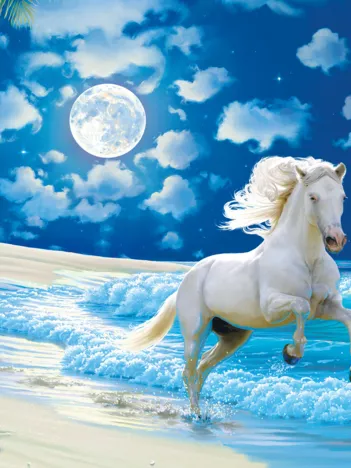 Produit Pièces XXL - Glow in the Dark - Moonlit Dance Image