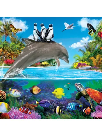 Produit Pièces XXL - Dolphin Ride Image