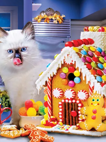 Produit Pièces XXL - Visiteurs de l'Hiver Image