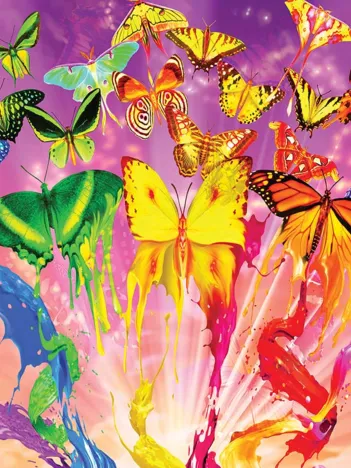 Produit Métamorphose Image