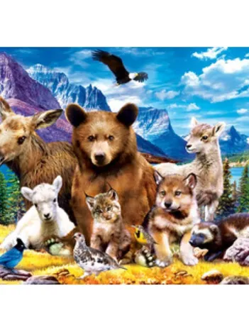 Produit Glacier Image