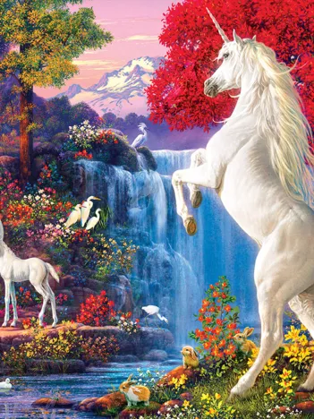 Produit Dream World Image