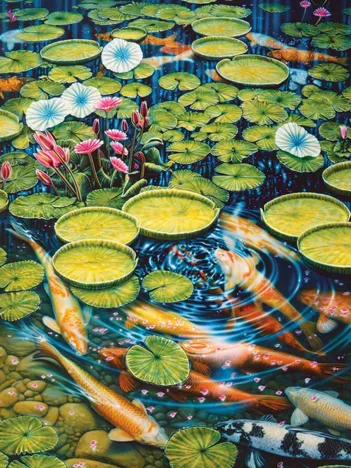 Produit Koi Pond Image