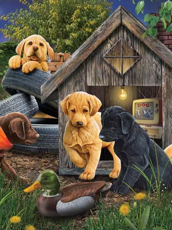 Produit In the Doghouse Image