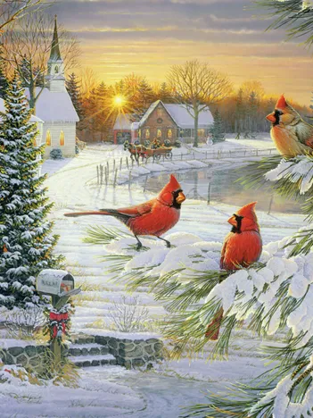 Produit Cardinaux du Coucher du Soleil - Random Cut Image