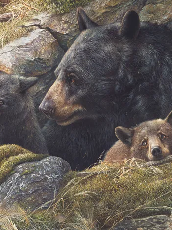 Produit Twice the Love Image