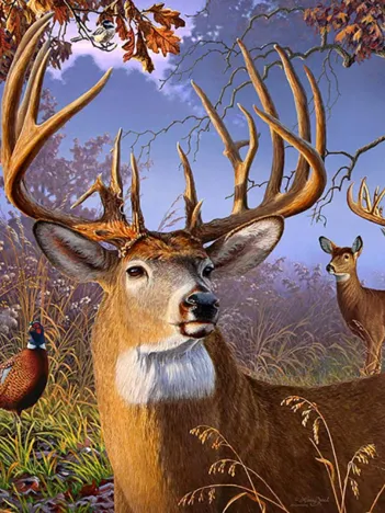 Produit Pièces XXL - Deer and Pheasant Image