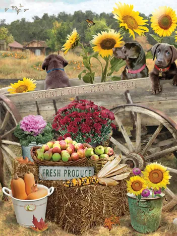 Produit Wagon de Choc Image