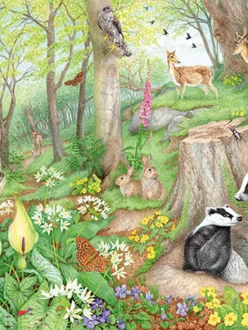 Produit Woodland Wildlife Image