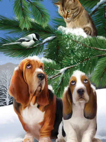 Produit Pièces XXL - Watch Out Image