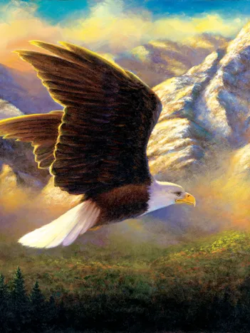 Produit Abraham Hunter - Flying High Image